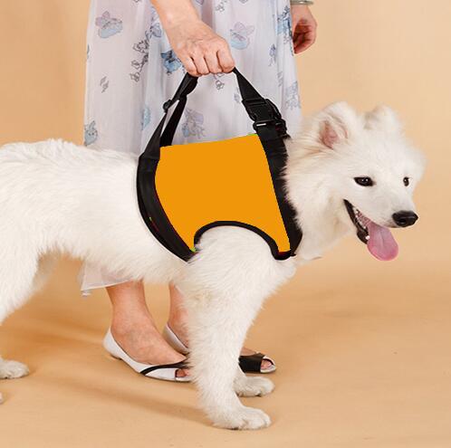 Dog Mobility Assist Belt for Hind & Front Legs