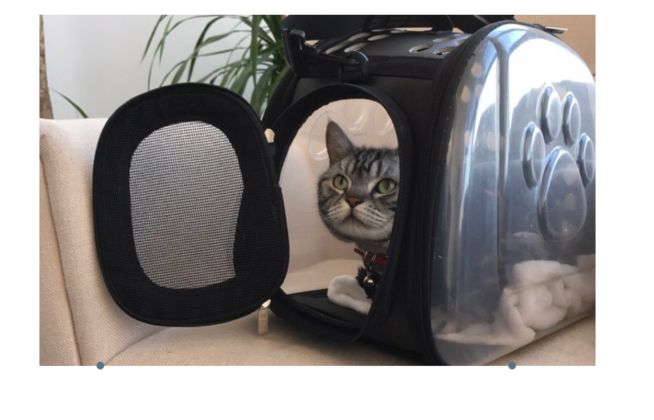 Transparent Pet Backpack Carrier for Cats & Small Dogs