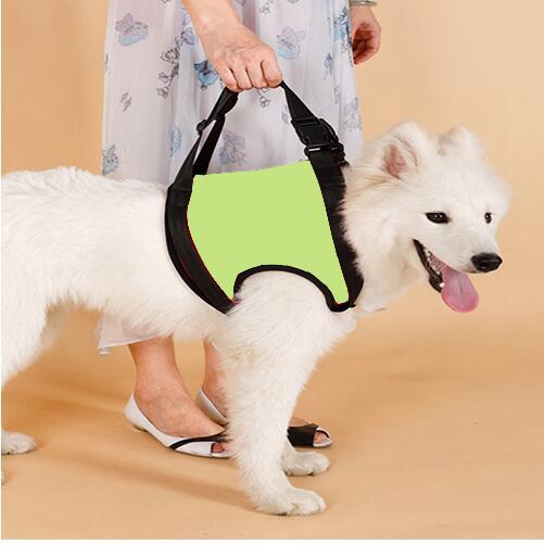 Dog Mobility Assist Belt for Hind & Front Legs