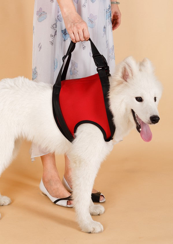 Dog Mobility Assist Belt for Hind & Front Legs