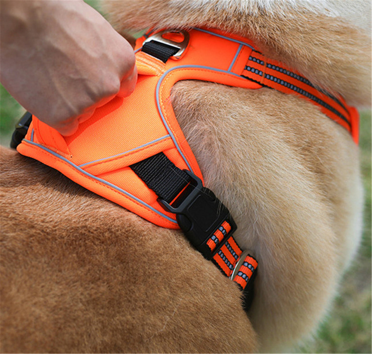 All-Weather Reflective Dog Adventure Harness