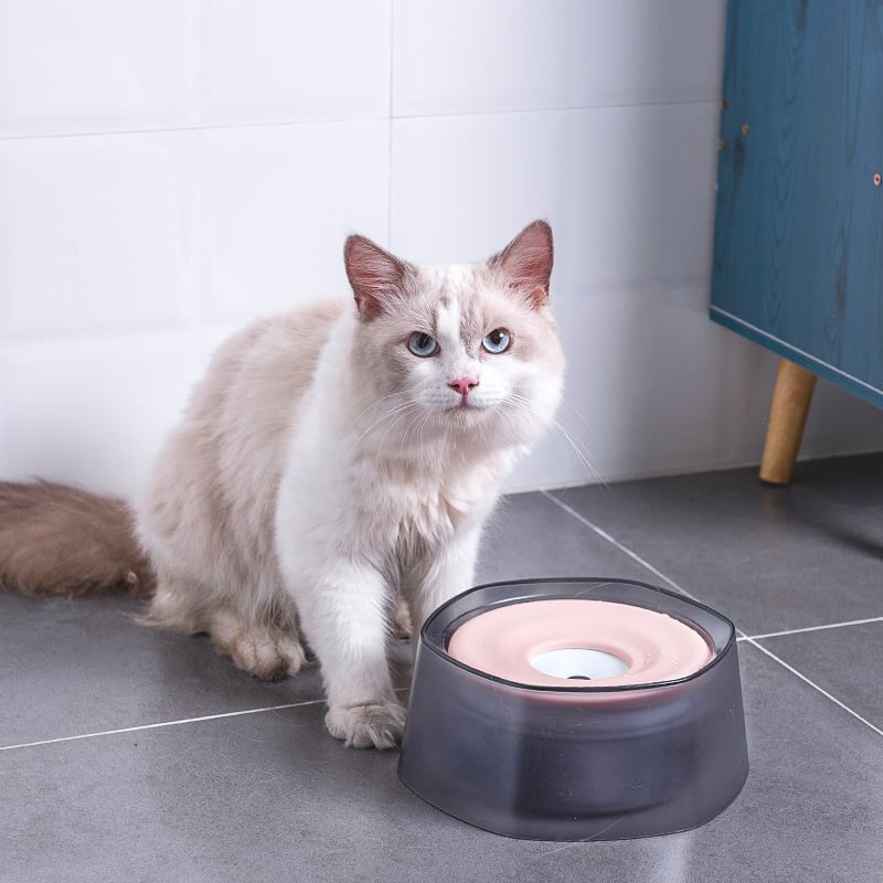 Splash-Proof Pet Water Bowl for Dogs & Cats