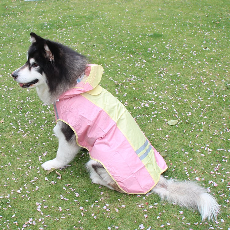 Big Dog Waterproof Raincoat with Reflective Strips