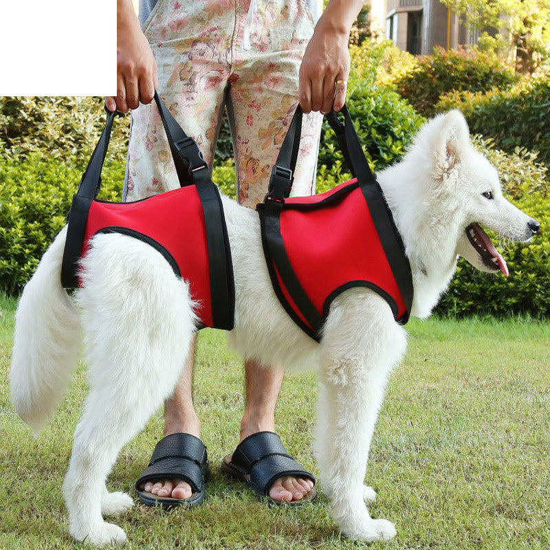 Dog Mobility Assist Belt for Hind & Front Legs
