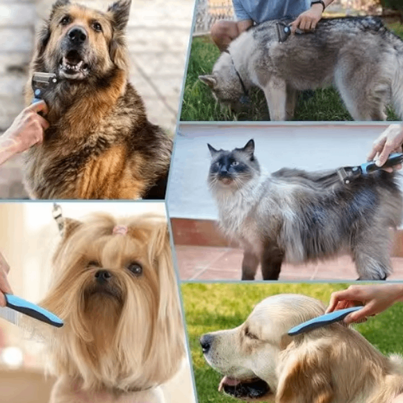Double-Sided Pet Dematting & Grooming Brush for Dogs