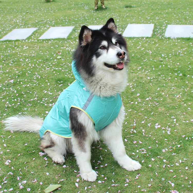 Big Dog Waterproof Raincoat with Reflective Strips