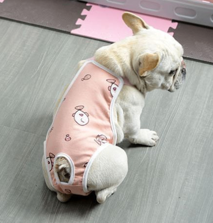 Female Dog Heat Cycle Pants